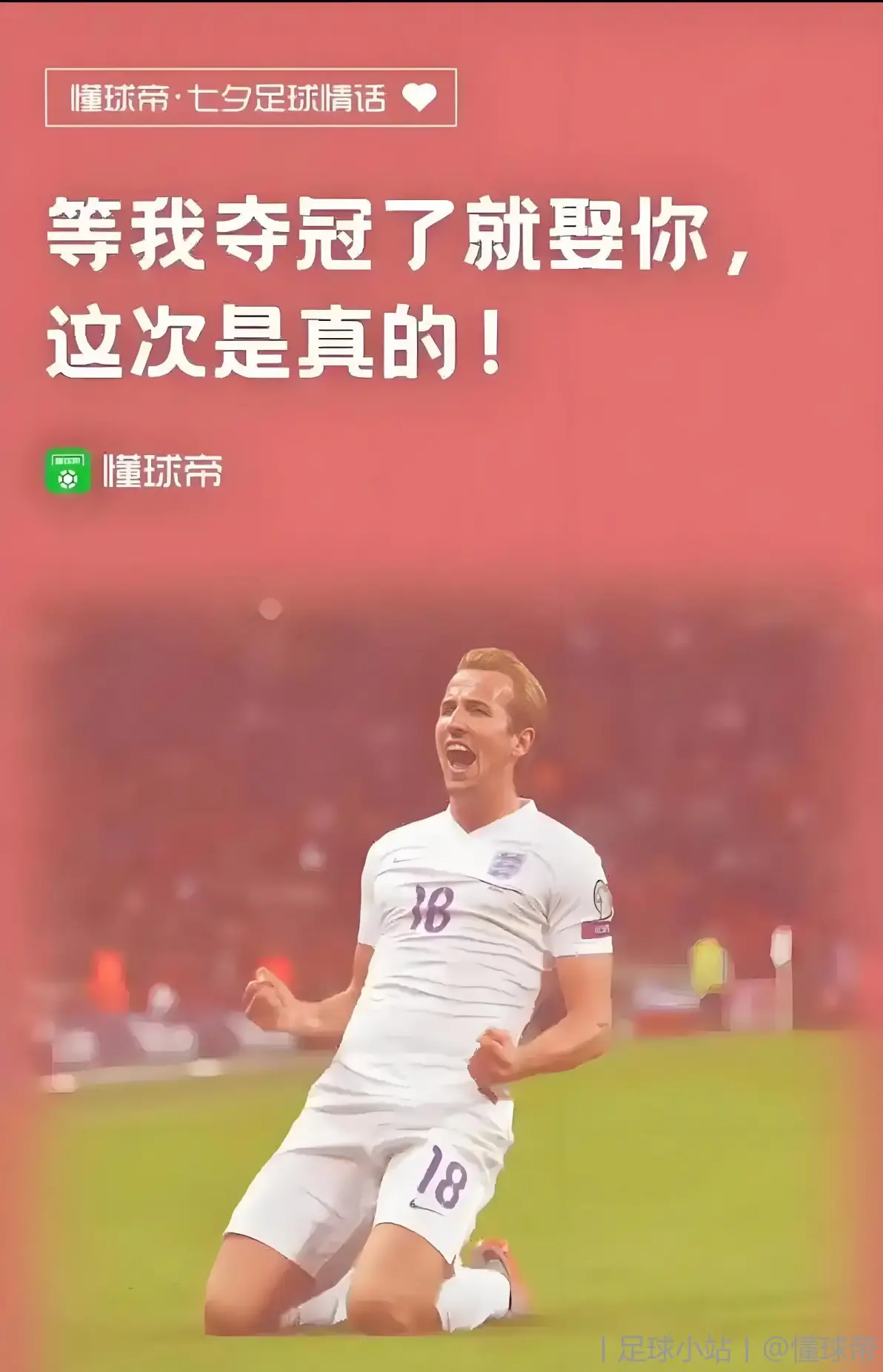 拜仁新星崭露头角，未来或成球队顶梁柱，单位销售.